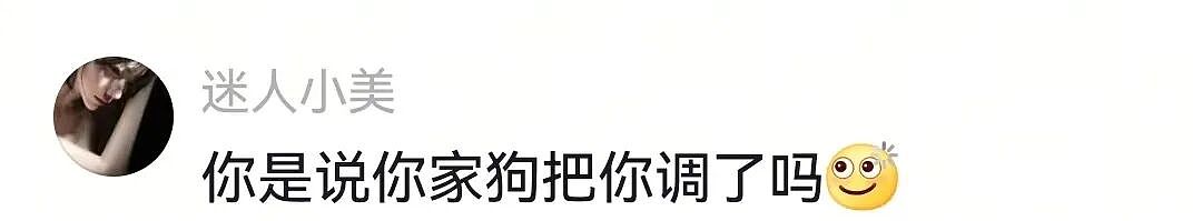 【宠物】狗子见主人吃东西不喊自己,上一秒不在乎,下一秒直接破防…网友:孩子的情绪全写脸上了(组图) - 9