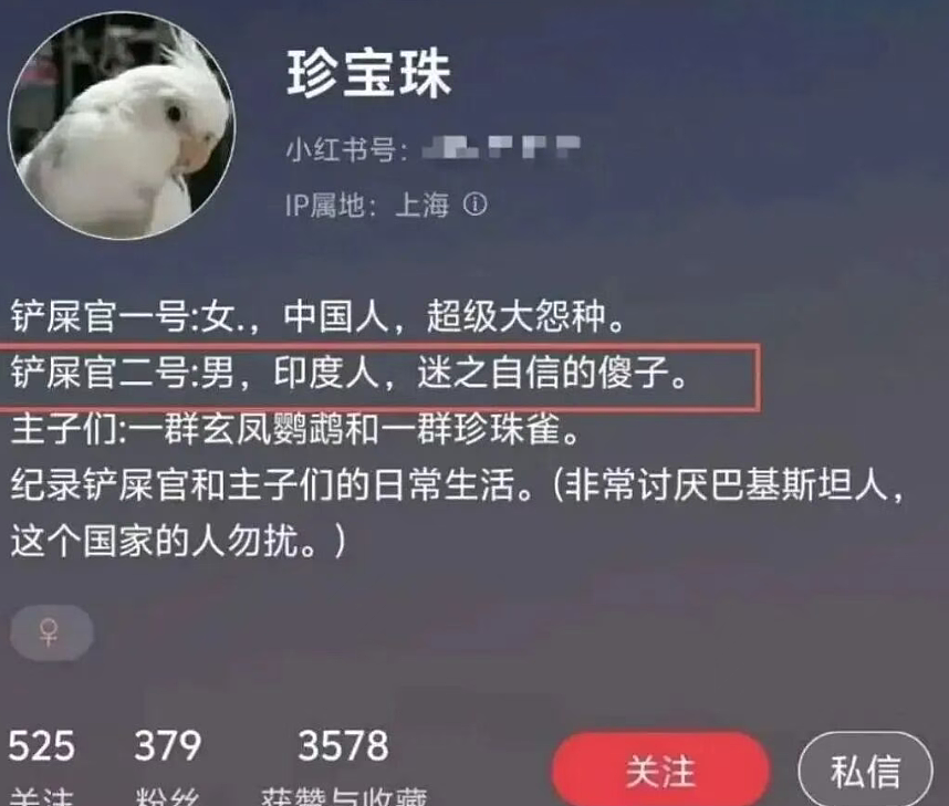澳洲长大的高颜女孩找了中国男友却被骂!结果骂人者照片和老公身份被扒全网笑疯(组图) - 4