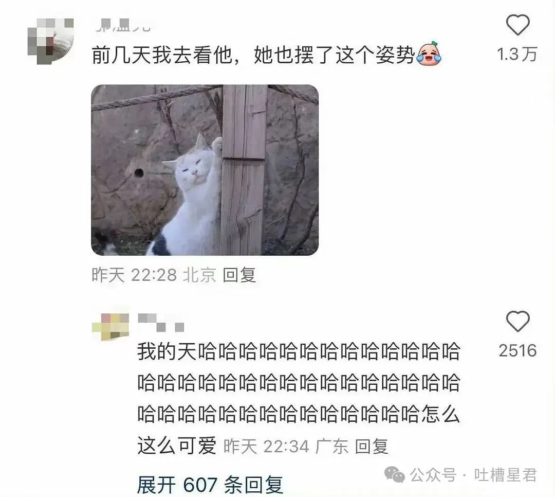 【爆笑】结婚时闺蜜竟然给我置办了嫁妆…?哈哈哈遇到你之前我简直在瞎送礼(组图) - 27
