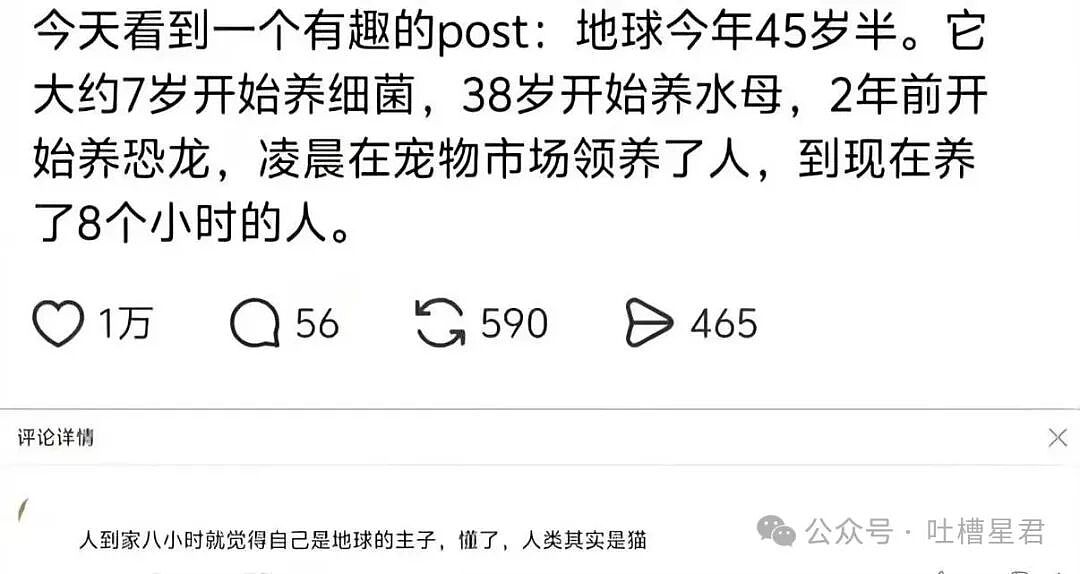 【爆笑】结婚时闺蜜竟然给我置办了嫁妆…?哈哈哈遇到你之前我简直在瞎送礼(组图) - 20