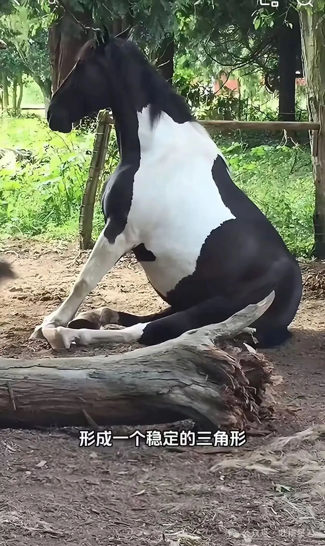【爆笑】结婚时闺蜜竟然给我置办了嫁妆…?哈哈哈遇到你之前我简直在瞎送礼(组图) - 38