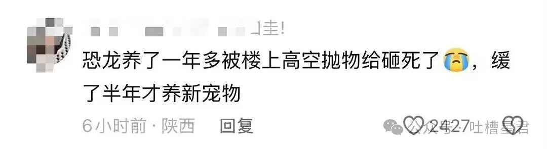 【爆笑】结婚时闺蜜竟然给我置办了嫁妆…?哈哈哈遇到你之前我简直在瞎送礼(组图) - 21