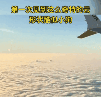 【宠物】狗子见主人吃东西不喊自己,上一秒不在乎,下一秒直接破防…网友:孩子的情绪全写脸上了(组图) - 16
