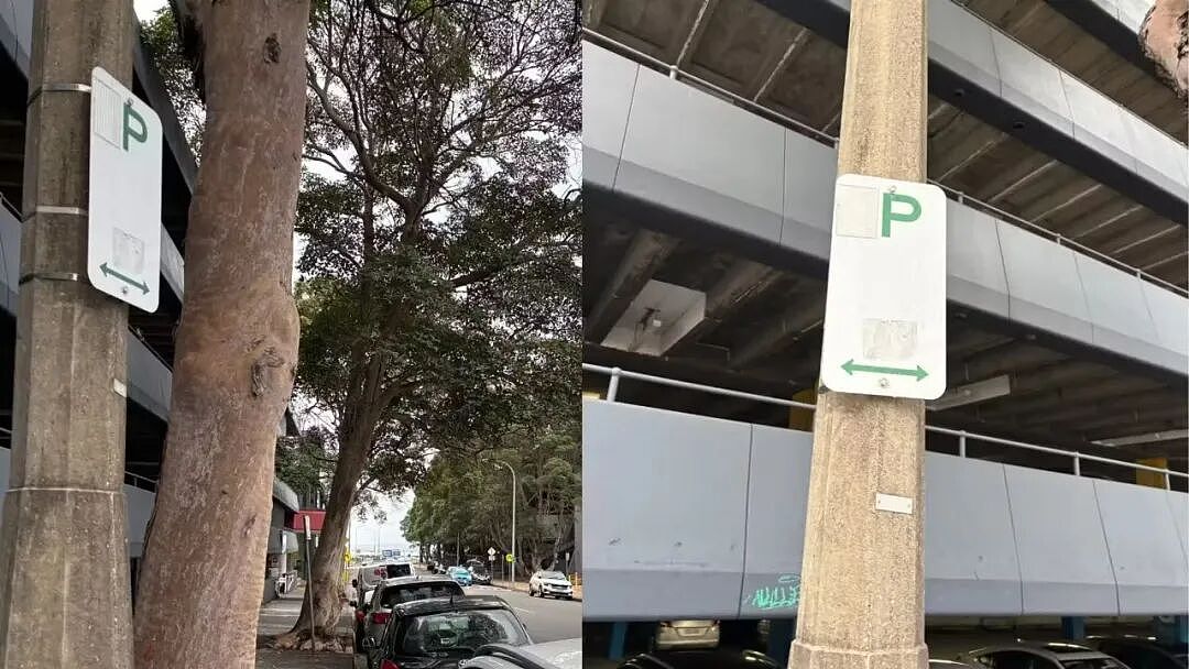 这个停车标志，澳洲人都懵了，换你你也懵！（组图） - 3