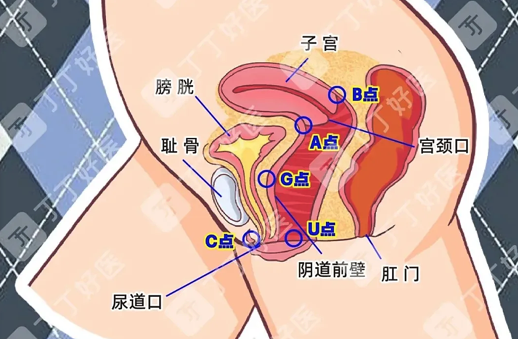 【两性】5大绝技，让女友快速YIN道糕潮（组图） - 2