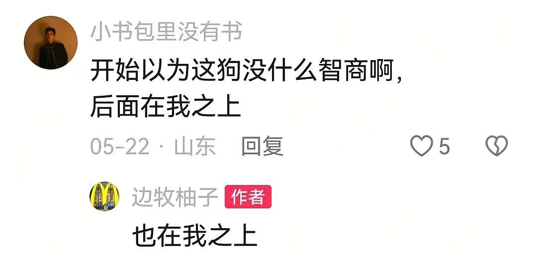 【宠物】狗子见主人吃东西不喊自己,上一秒不在乎,下一秒直接破防…网友:孩子的情绪全写脸上了(组图) - 11