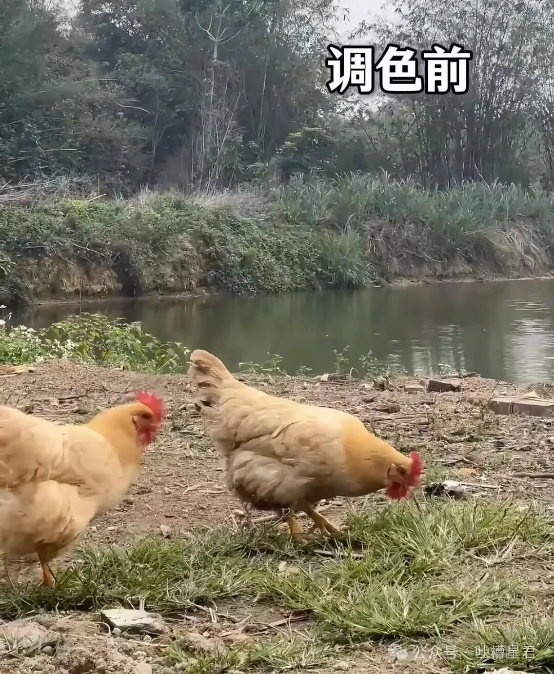 【爆笑】结婚时闺蜜竟然给我置办了嫁妆…?哈哈哈遇到你之前我简直在瞎送礼(组图) - 8