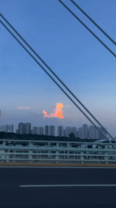 【宠物】狗子见主人吃东西不喊自己,上一秒不在乎,下一秒直接破防…网友:孩子的情绪全写脸上了(组图) - 18
