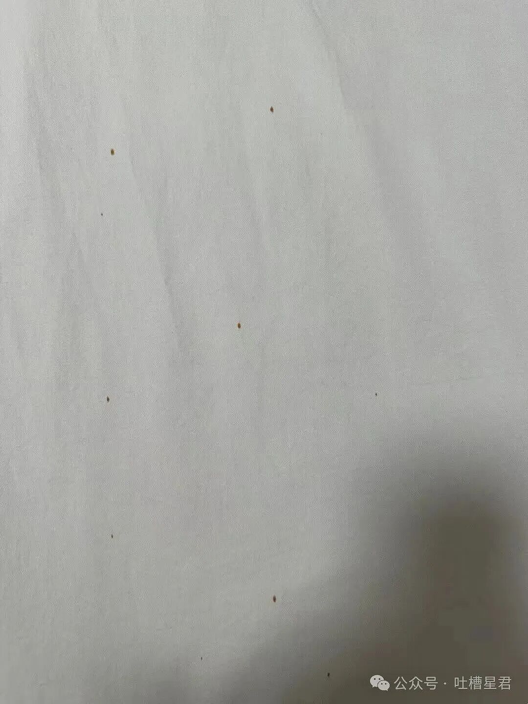 【爆笑】结婚时闺蜜竟然给我置办了嫁妆…?哈哈哈遇到你之前我简直在瞎送礼(组图) - 16
