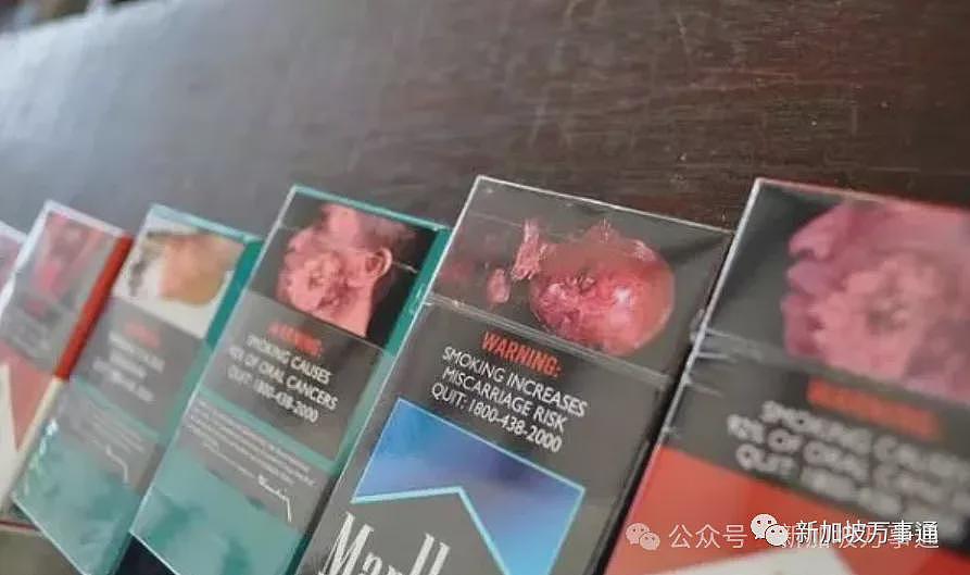 携上千条香烟入境新加坡，多名中国男子当场被扣押：恐牢底坐穿！更多相关“黑产”内幕曝光…（组图） - 19