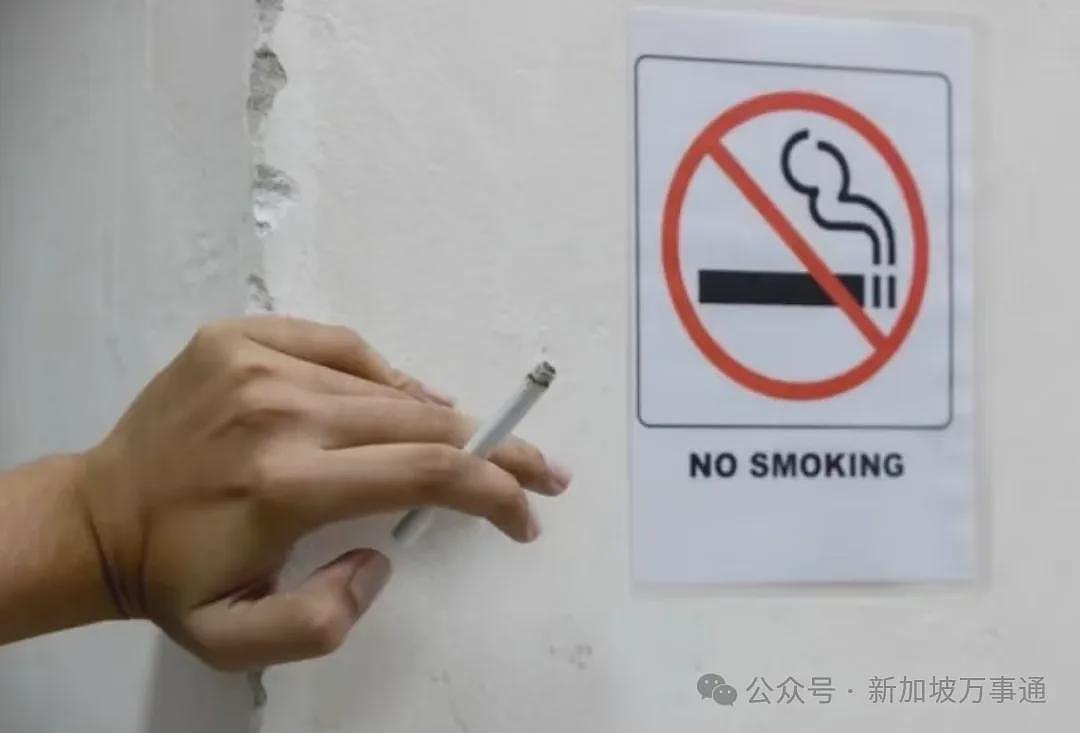 携上千条香烟入境新加坡，多名中国男子当场被扣押：恐牢底坐穿！更多相关“黑产”内幕曝光…（组图） - 18