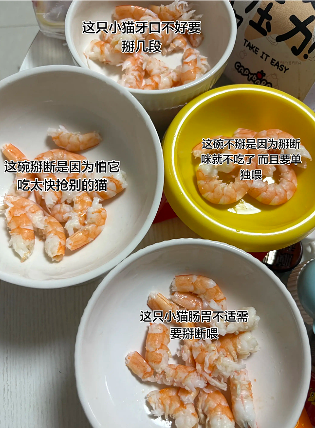 【宠物】妹子说自家小猫饮食很特别，只吃干湿分离的奶粉，网友：主人看似抱怨，实则爱惨了哈哈哈（组图） - 9