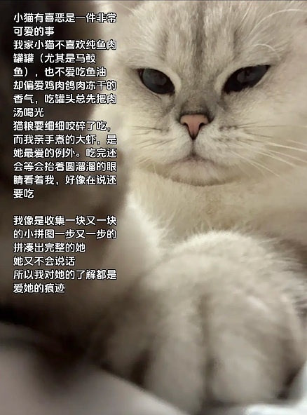 【宠物】妹子说自家小猫饮食很特别，只吃干湿分离的奶粉，网友：主人看似抱怨，实则爱惨了哈哈哈（组图） - 12