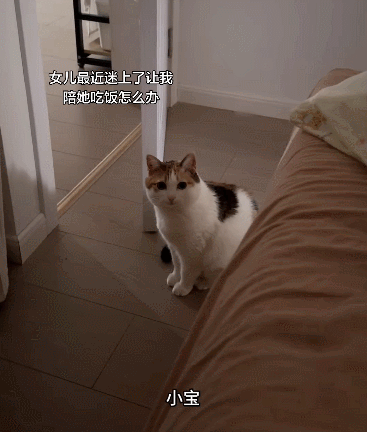 【宠物】妹子说自家小猫饮食很特别，只吃干湿分离的奶粉，网友：主人看似抱怨，实则爱惨了哈哈哈（组图） - 10