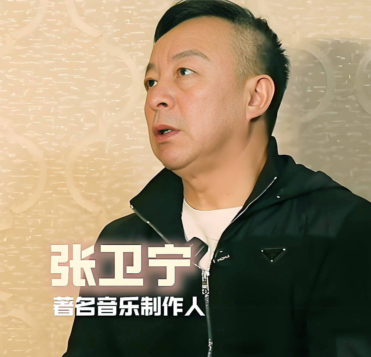 田震：没有移民澳洲，愧对白发母亲，60岁开演唱会不为挣钱（组图） - 14