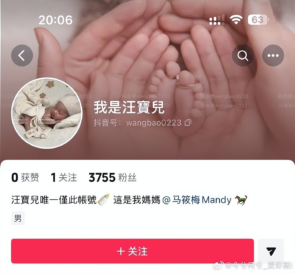 马筱梅给生儿子开通账号,用来记录汪宝的日常,网友笑称“最小互联网打工人”(组图) - 5