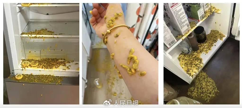 干冰变“炸弹”毁雪柜！少年闯祸，母亲却这样教育（视频/组图） - 9
