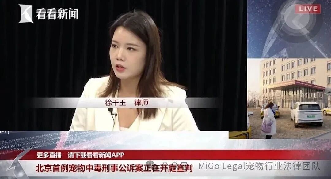 【情感】从“宅女”到宠物律师!95后姑娘为毛孩子“打官司”,网友:这职业太酷了(组图) - 6