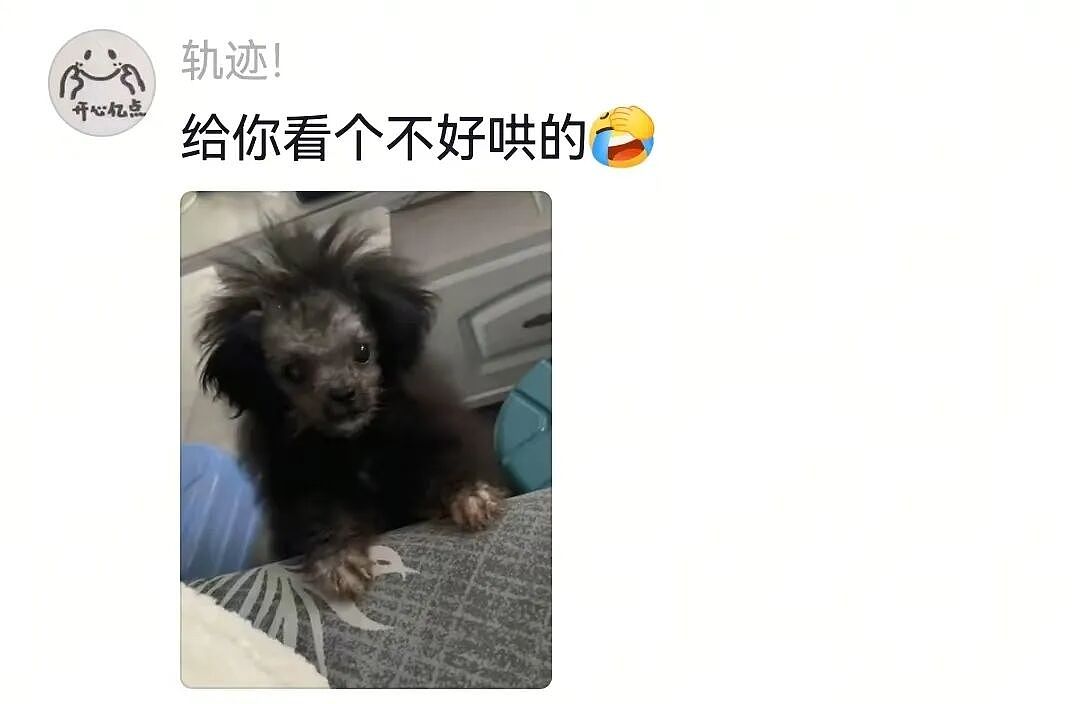 狗子被惹生气后对主人摆脸色，没想到主人使出美色诱惑…狗子害羞wink：死鬼，早这样不就好了…（组图） - 6