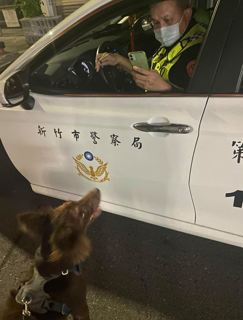 铲屎官:心虚!我犯了什么罪,遛狗都会被警察盘问?(组图) - 3