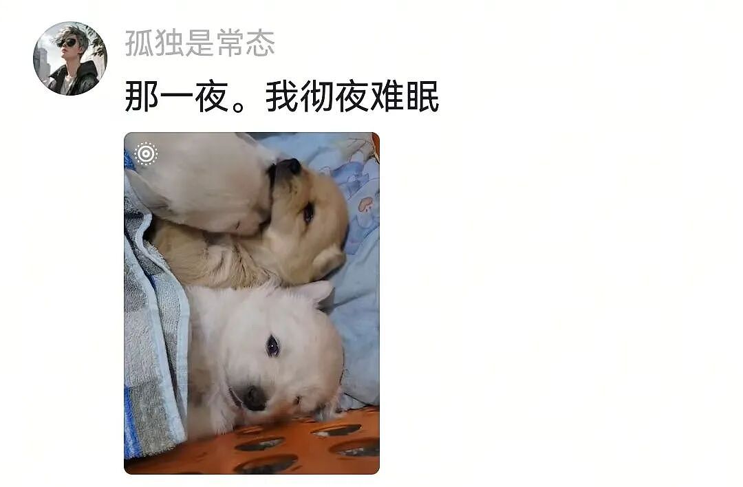 狗子被惹生气后对主人摆脸色，没想到主人使出美色诱惑…狗子害羞wink：死鬼，早这样不就好了…（组图） - 5