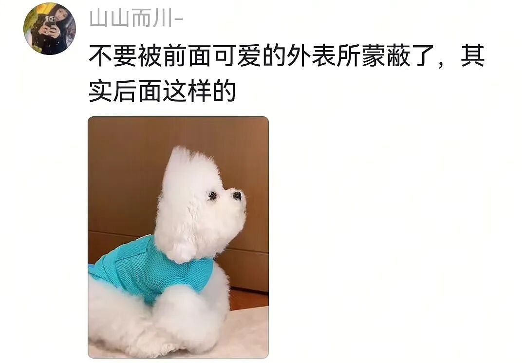 狗子被惹生气后对主人摆脸色，没想到主人使出美色诱惑…狗子害羞wink：死鬼，早这样不就好了…（组图） - 4