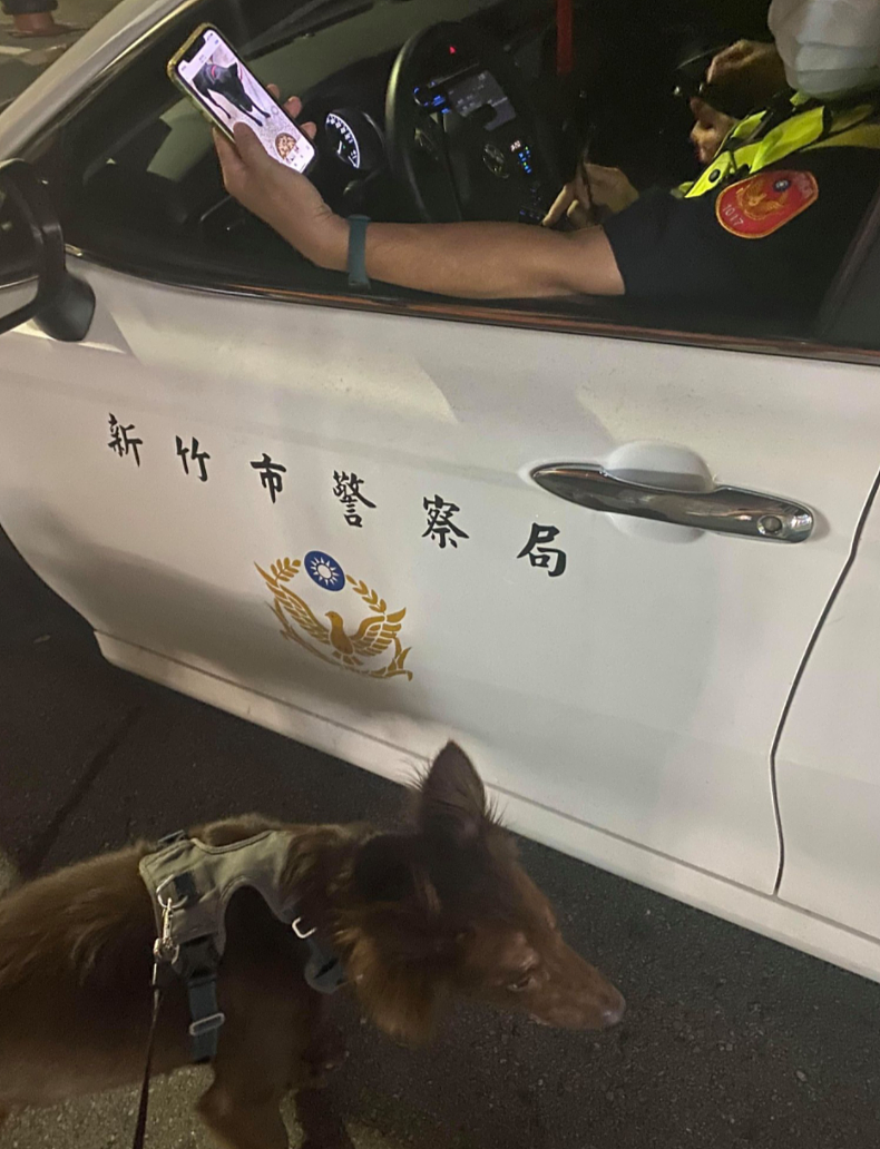 铲屎官:心虚!我犯了什么罪,遛狗都会被警察盘问?(组图) - 4