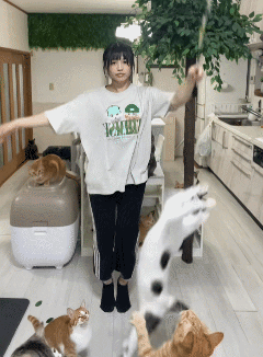 【宠物】家里来了光头师傅修网线,猫咪凑上去疯狂舔人家光头(组图) - 8