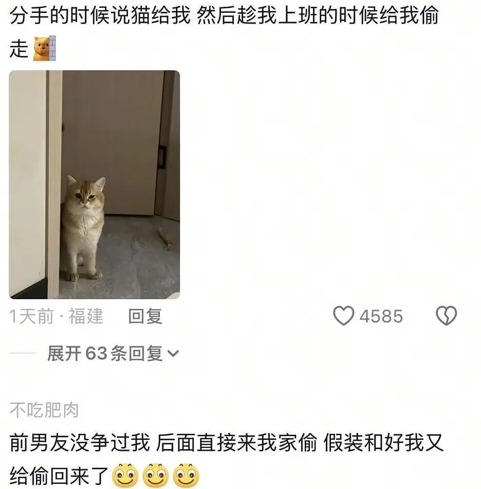 【宠物】前男友每个月给猫打500块钱生活费…网友:分手归分手,苦了谁也不能苦了孩子(组图) - 21