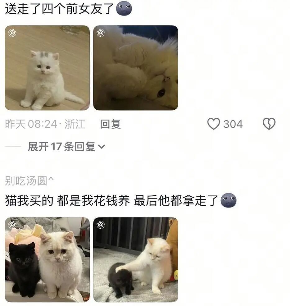 【宠物】前男友每个月给猫打500块钱生活费…网友:分手归分手,苦了谁也不能苦了孩子(组图) - 23