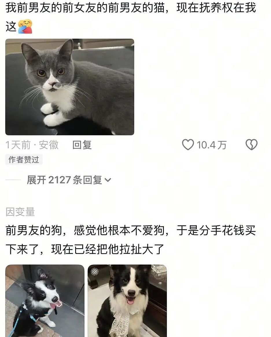 【宠物】前男友每个月给猫打500块钱生活费…网友:分手归分手,苦了谁也不能苦了孩子(组图) - 16