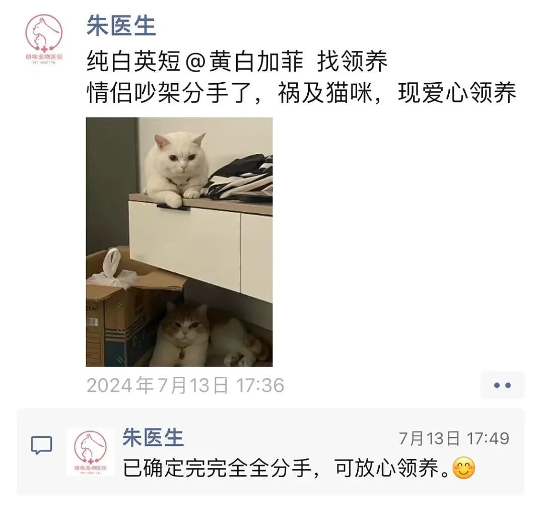 【宠物】前男友每个月给猫打500块钱生活费…网友:分手归分手,苦了谁也不能苦了孩子(组图) - 9