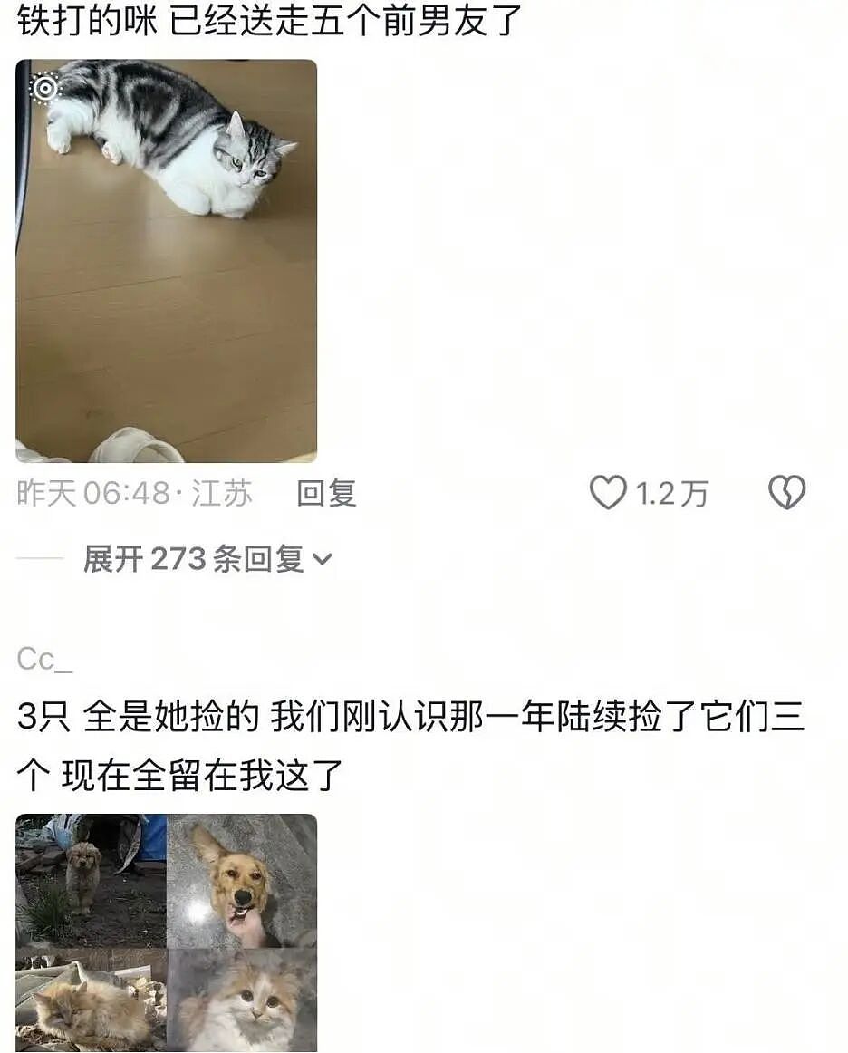【宠物】前男友每个月给猫打500块钱生活费…网友:分手归分手,苦了谁也不能苦了孩子(组图) - 18