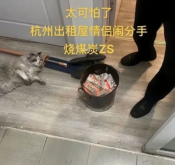 【宠物】前男友每个月给猫打500块钱生活费…网友:分手归分手,苦了谁也不能苦了孩子(组图) - 6