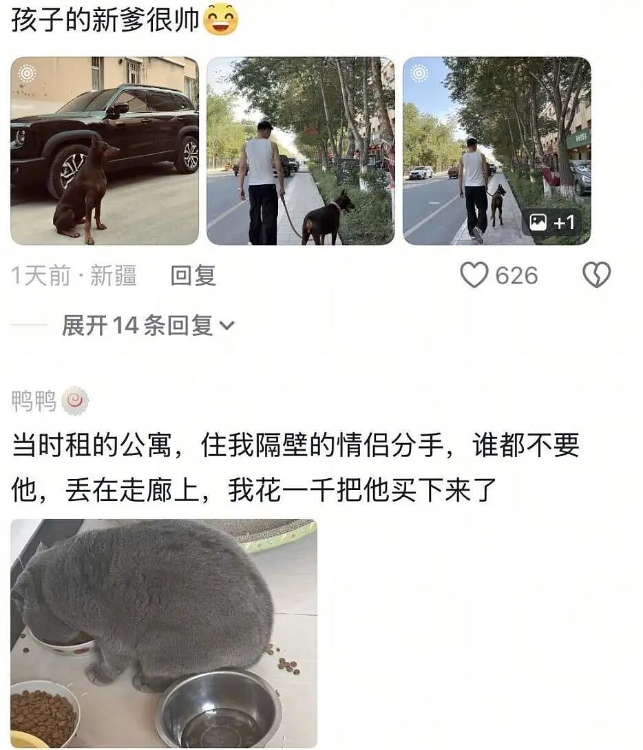 【宠物】前男友每个月给猫打500块钱生活费…网友:分手归分手,苦了谁也不能苦了孩子(组图) - 24