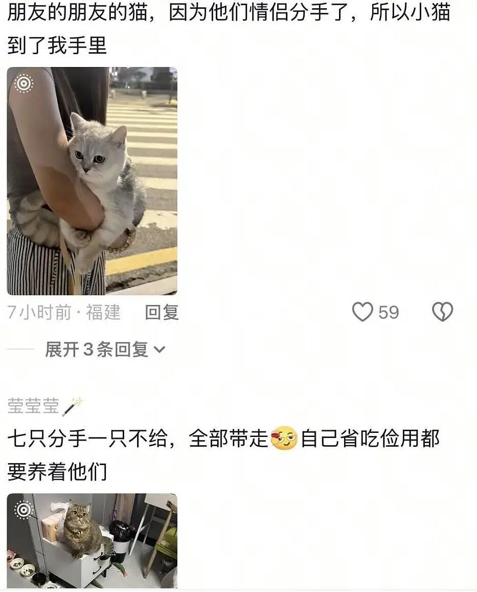 【宠物】前男友每个月给猫打500块钱生活费…网友:分手归分手,苦了谁也不能苦了孩子(组图) - 17