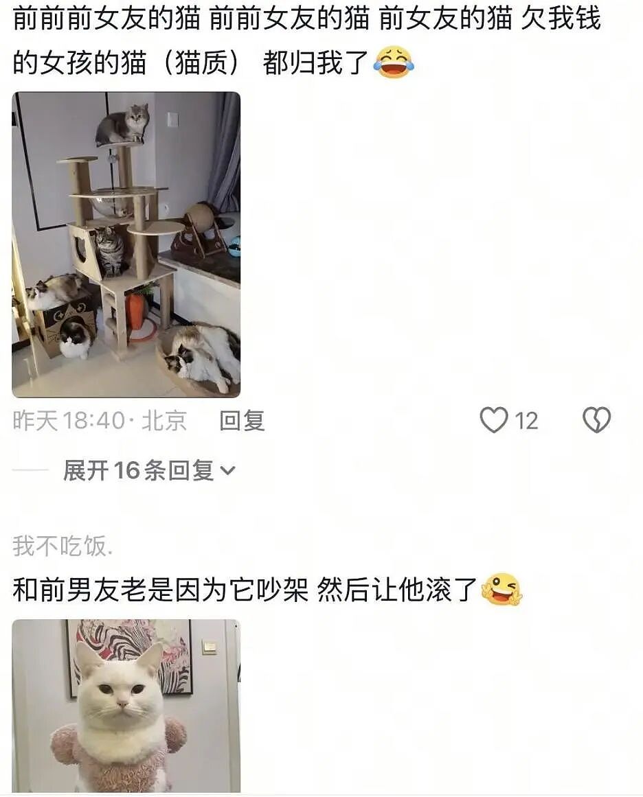 【宠物】前男友每个月给猫打500块钱生活费…网友:分手归分手,苦了谁也不能苦了孩子(组图) - 22