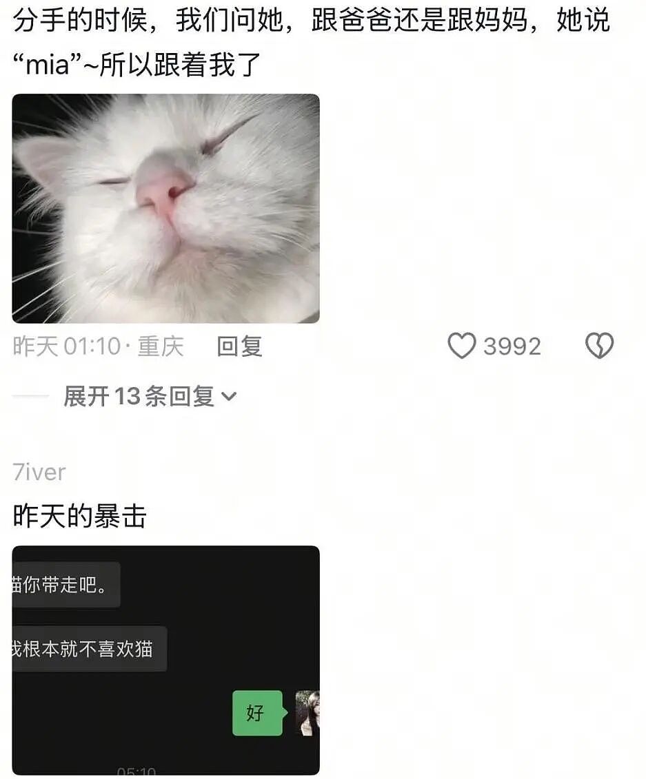 【宠物】前男友每个月给猫打500块钱生活费…网友:分手归分手,苦了谁也不能苦了孩子(组图) - 19