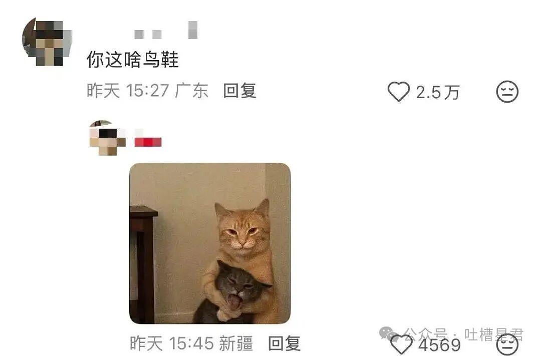 【爆笑】已婚男应聘模子哥…?哈哈哈这把还是夫妻局(组图) - 12