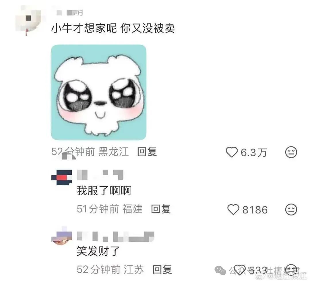 【爆笑】已婚男应聘模子哥…?哈哈哈这把还是夫妻局(组图) - 38