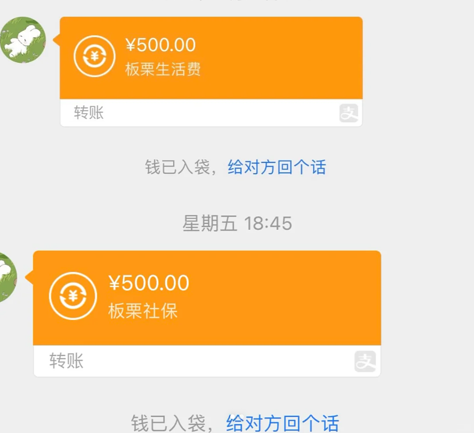 【宠物】前男友每个月给猫打500块钱生活费…网友:分手归分手,苦了谁也不能苦了孩子(组图) - 2