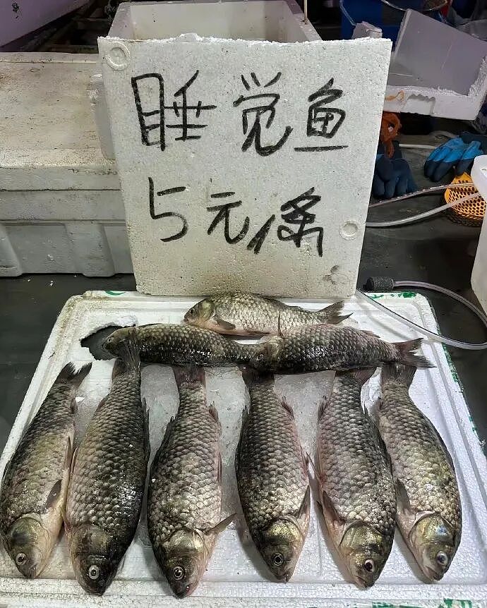 【爆笑】刚洗完澡准备睡觉在男朋友手机看见了这一幕 ？网友的操作出乎意料（组图） - 10