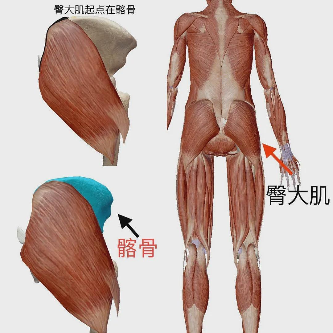 【美女】从“塌扁妈臀”到“行走荷尔蒙”，我只做对了一件事（组图） - 3