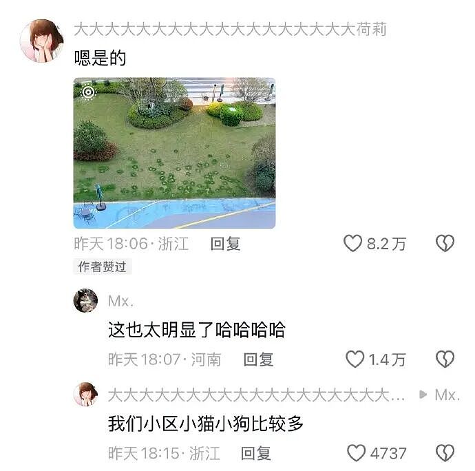 【爆笑】男朋友给不起8.8的彩礼，转身买了20w的车（组图） - 29