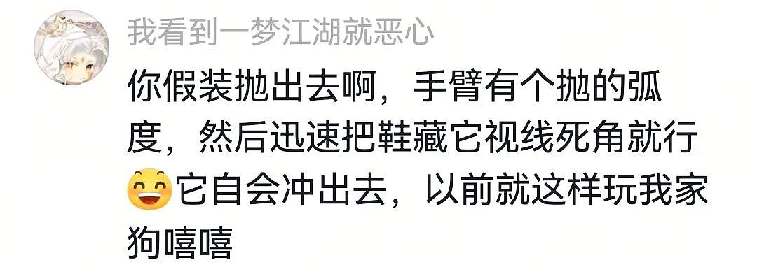 【宠物】人被自家狗子耍得团团转,不仅喜提二百五称号,还痛失一只鞋,最后只能灰溜溜回家(组图) - 22