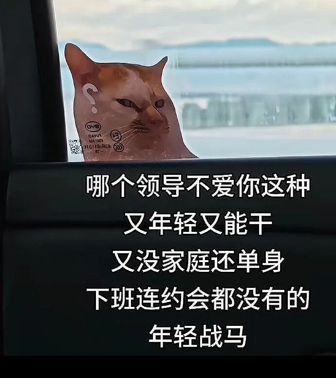 【爆笑】男朋友给不起8.8的彩礼，转身买了20w的车（组图） - 75