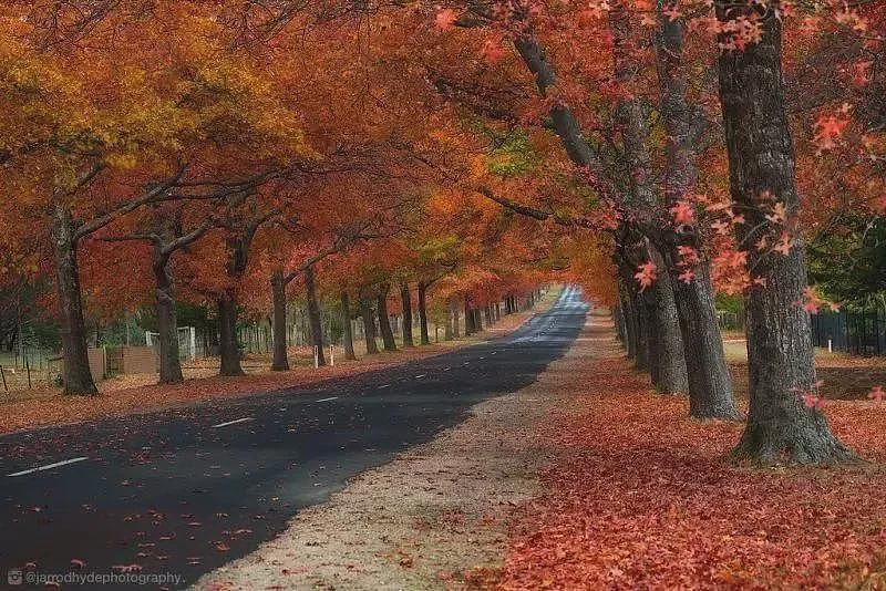四月别来墨尔本（组图） - 12