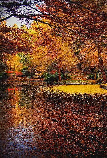 四月别来墨尔本（组图） - 5