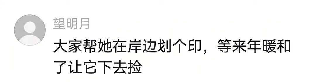 【宠物】人被自家狗子耍得团团转,不仅喜提二百五称号,还痛失一只鞋,最后只能灰溜溜回家(组图) - 23