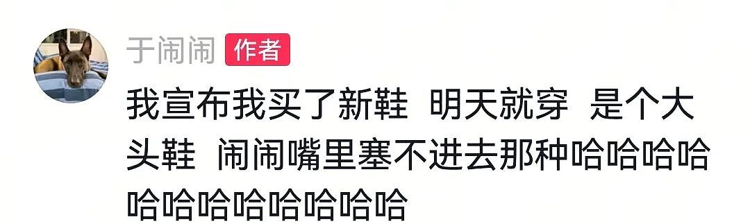 【宠物】人被自家狗子耍得团团转,不仅喜提二百五称号,还痛失一只鞋,最后只能灰溜溜回家(组图) - 17
